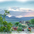Arizona Hills painting