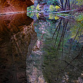 Reflection