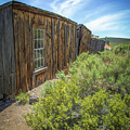 Bodie 01