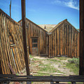 Bodie 04