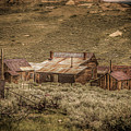 Bodie 05
